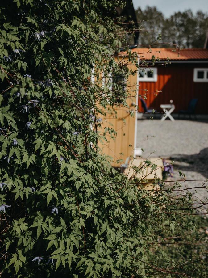 En Lantlig Idyll Med Skogen Precis Utanfoer Doerren! Vila Ullared Exterior foto