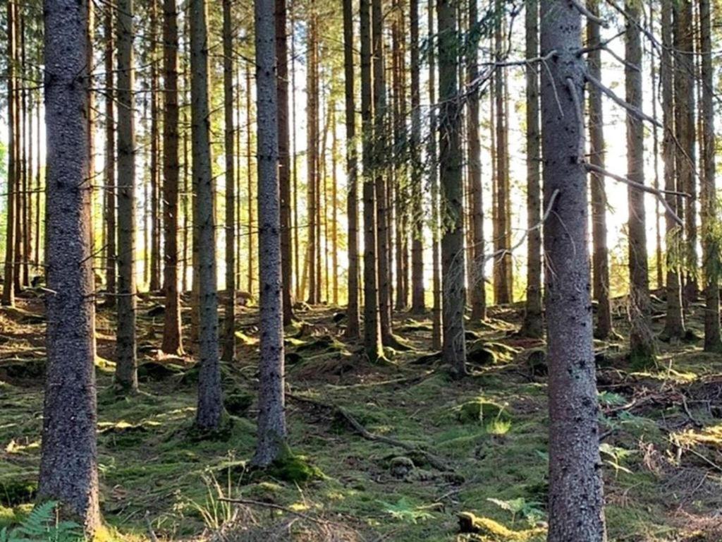 En Lantlig Idyll Med Skogen Precis Utanfoer Doerren! Vila Ullared Exterior foto